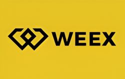 WEEX Review